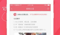 91pom在线直播平台,打造全新娱乐体验的数字盛宴